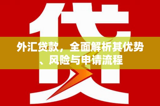 台儿庄外汇贷款，全面解析其优势、风险与申请流程