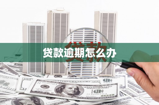台儿庄贷款逾期怎么办
