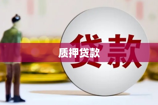 台儿庄质押贷款
