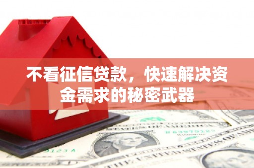 台儿庄不看征信贷款，快速解决资金需求的秘密武器