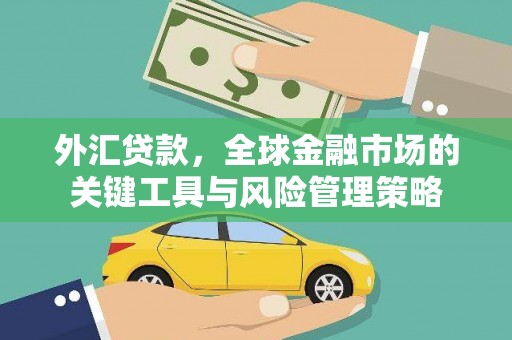 台儿庄外汇贷款，全球金融市场的关键工具与风险管理策略