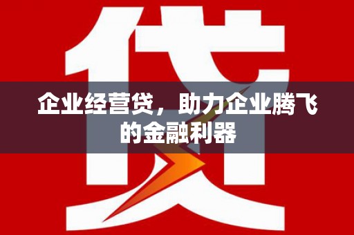 台儿庄企业经营贷，助力企业腾飞的金融利器
