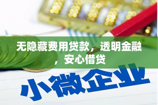 台儿庄无隐藏费用贷款，透明金融，安心借贷