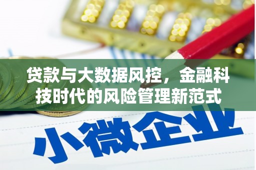 台儿庄贷款与大数据风控，金融科技时代的风险管理新范式