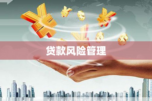 台儿庄贷款风险管理