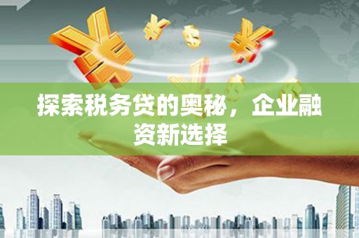 台儿庄探索税务贷的奥秘，企业融资新选择
