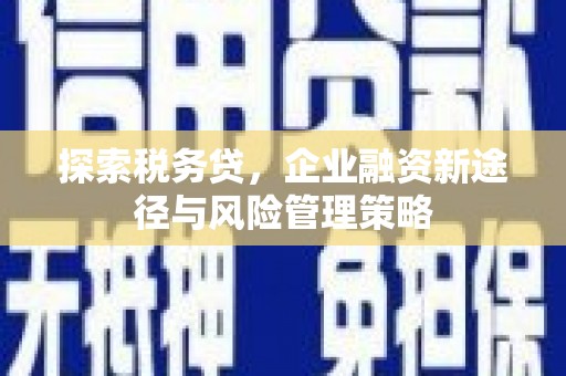 台儿庄探索税务贷，企业融资新途径与风险管理策略