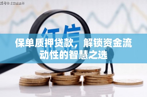 台儿庄保单质押贷款，解锁资金流动性的智慧之选