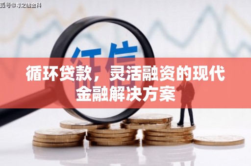 台儿庄循环贷款，灵活融资的现代金融解决方案