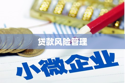 台儿庄贷款风险管理
