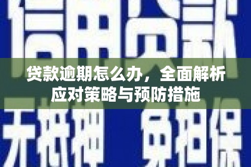 台儿庄贷款逾期怎么办，全面解析应对策略与预防措施