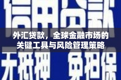 台儿庄外汇贷款，全球金融市场的关键工具与风险管理策略