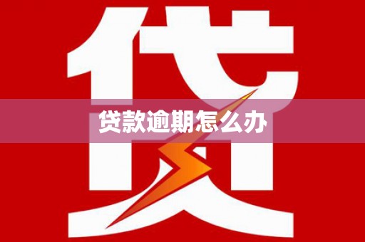 台儿庄贷款逾期怎么办
