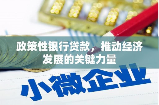 台儿庄政策性银行贷款，推动经济发展的关键力量