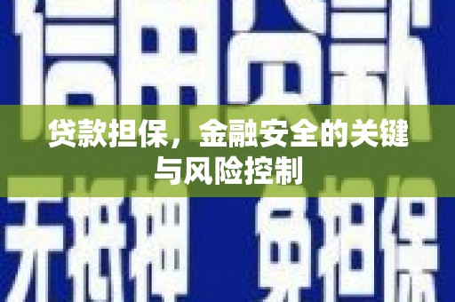 台儿庄贷款担保，金融安全的关键与风险控制