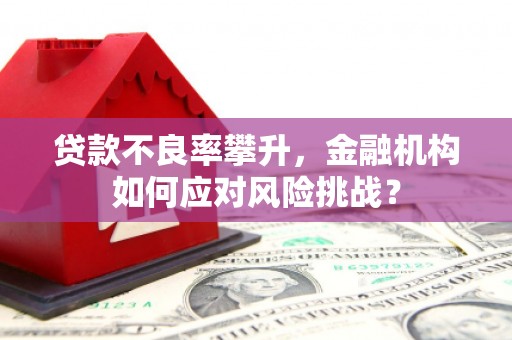 台儿庄贷款不良率攀升，金融机构如何应对风险挑战？