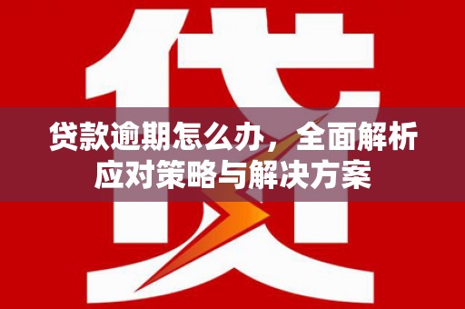 台儿庄贷款逾期怎么办，全面解析应对策略与解决方案