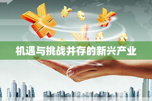 台儿庄机遇与挑战并存的新兴产业