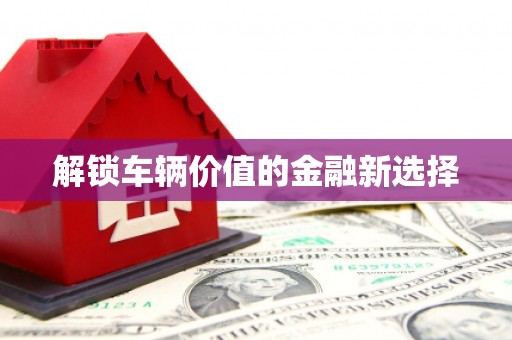 台儿庄解锁车辆价值的金融新选择