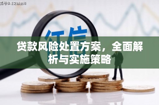 台儿庄贷款风险处置方案，全面解析与实施策略